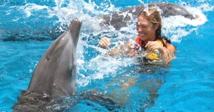 Dolphin Royal Swim Puerto Vallarta